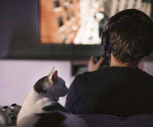 Professiya testirovshchik igr