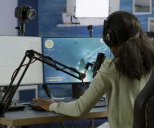 Top kursov dlya strimerov