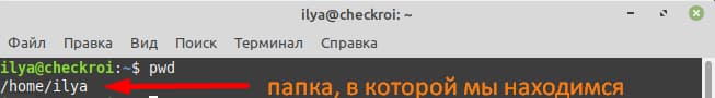 Команда показывает, что сейчас мы находимся папке ilya, которая, в свою очередь, находится в каталоге home