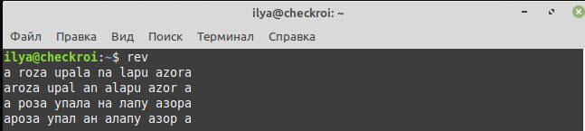 Введённые в терминал фразы будут переворачиваться, пока не нажмёте CTRL+C 