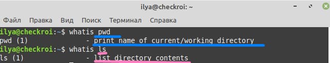 Узнаём, как расшифровываются команды pwd и Is