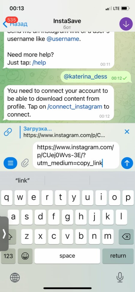 Вставьте её в чат с ботом и нажмите «Отправить»