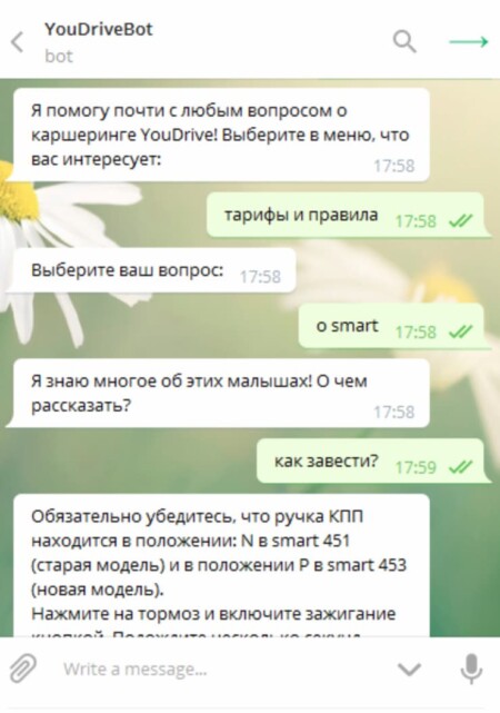 Чат-бот отвечает на вопросы