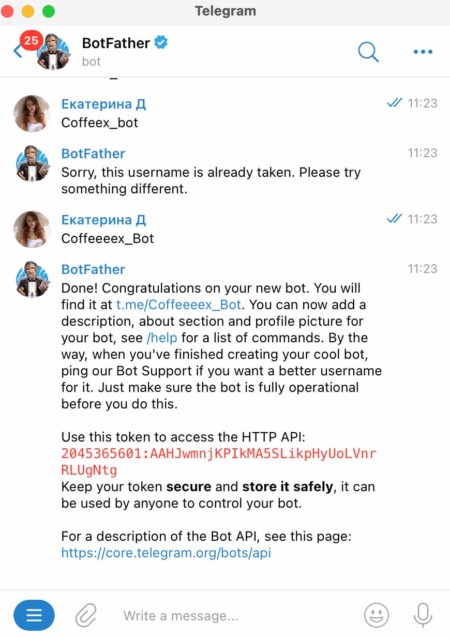 Придумайте название чат-бота, скопируйте API и вставьте его в Manybot 2