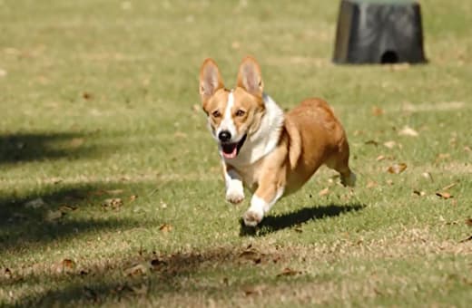Необязательно корректировать всё изображение, вы можете настроить только одну тональную область