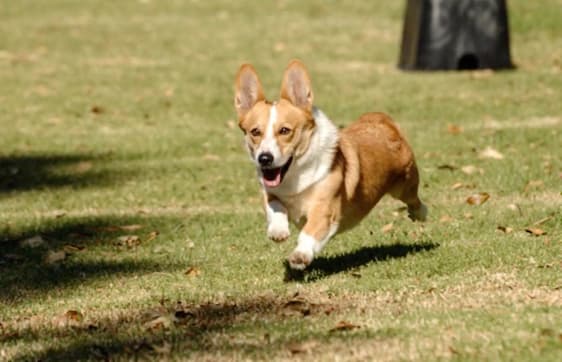 Двигайте ползунки влево и вправо, чтобы подобрать те значения, которые подойдут под вашу фотографию