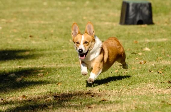 Двигайте ползунки влево и вправо, чтобы подобрать те значения, которые подойдут под вашу фотографию 2