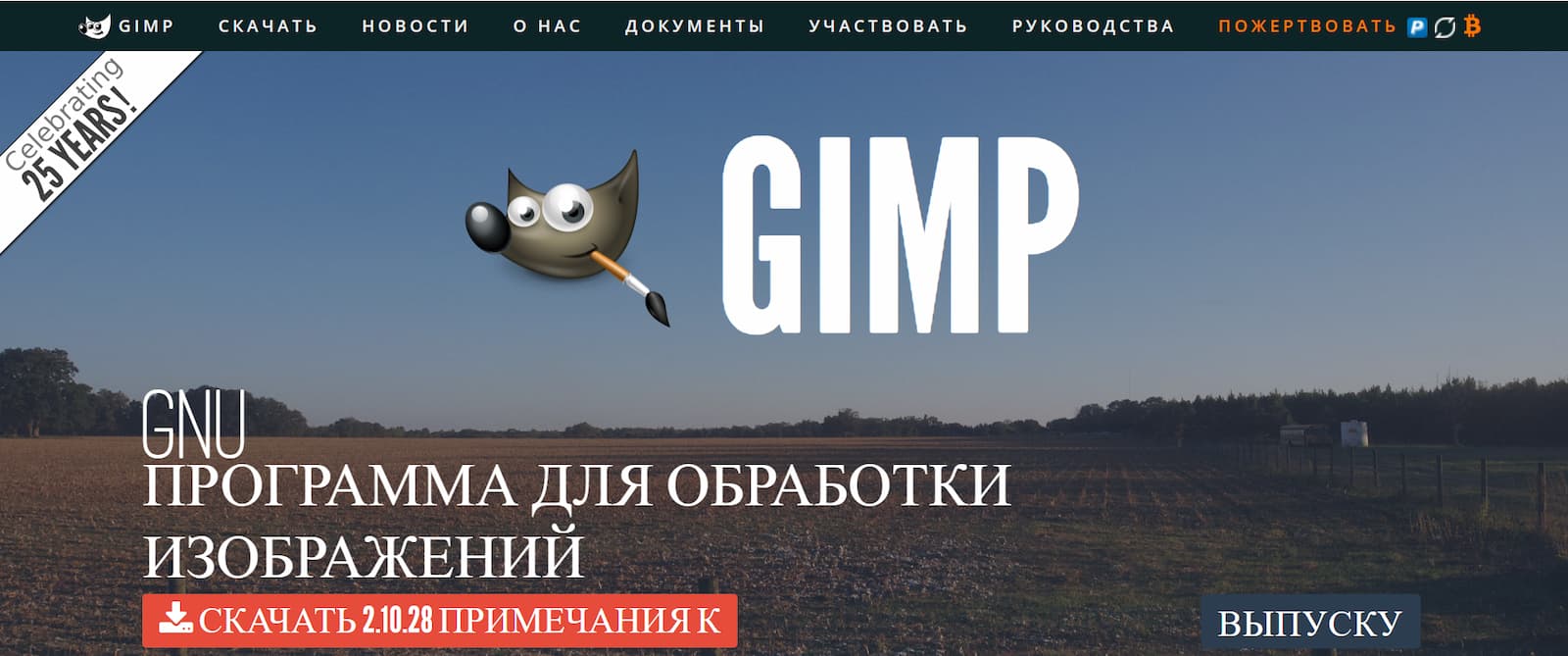 Gimp
