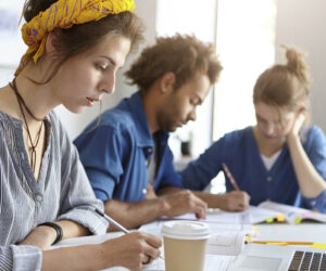 Top programm vysshego obrazovaniya bakalavr po dizaynu