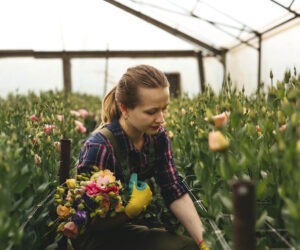 Kursy floristiki onlayn