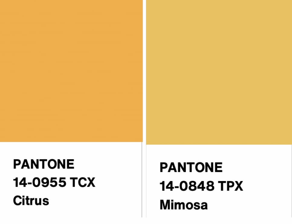 Среди вариантов тёплого жёлтого «Цитрус» и «Мимоза»