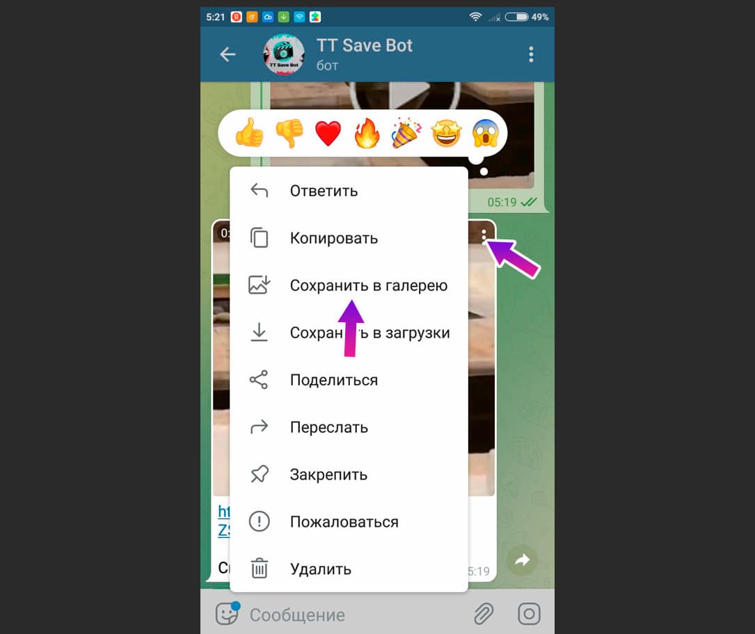 Введите в поиске адрес выбранного бота, затем нажмите кнопку «Запустить»