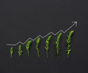 Kak zarabotat na investiciyah