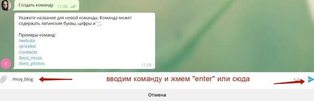 После ввода имени команды в поле и нажимаем «enter»