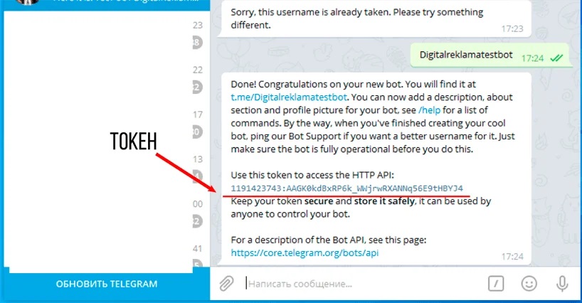 Токен необходимо скопировать и вставить в диалоговое окно