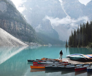 Chto delat esli uvolili s raboty