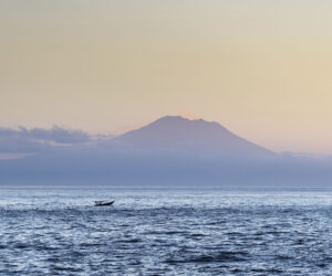 Chto takoe trevozhnost