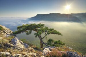 Kak sozdat kanal na yandeksdzen