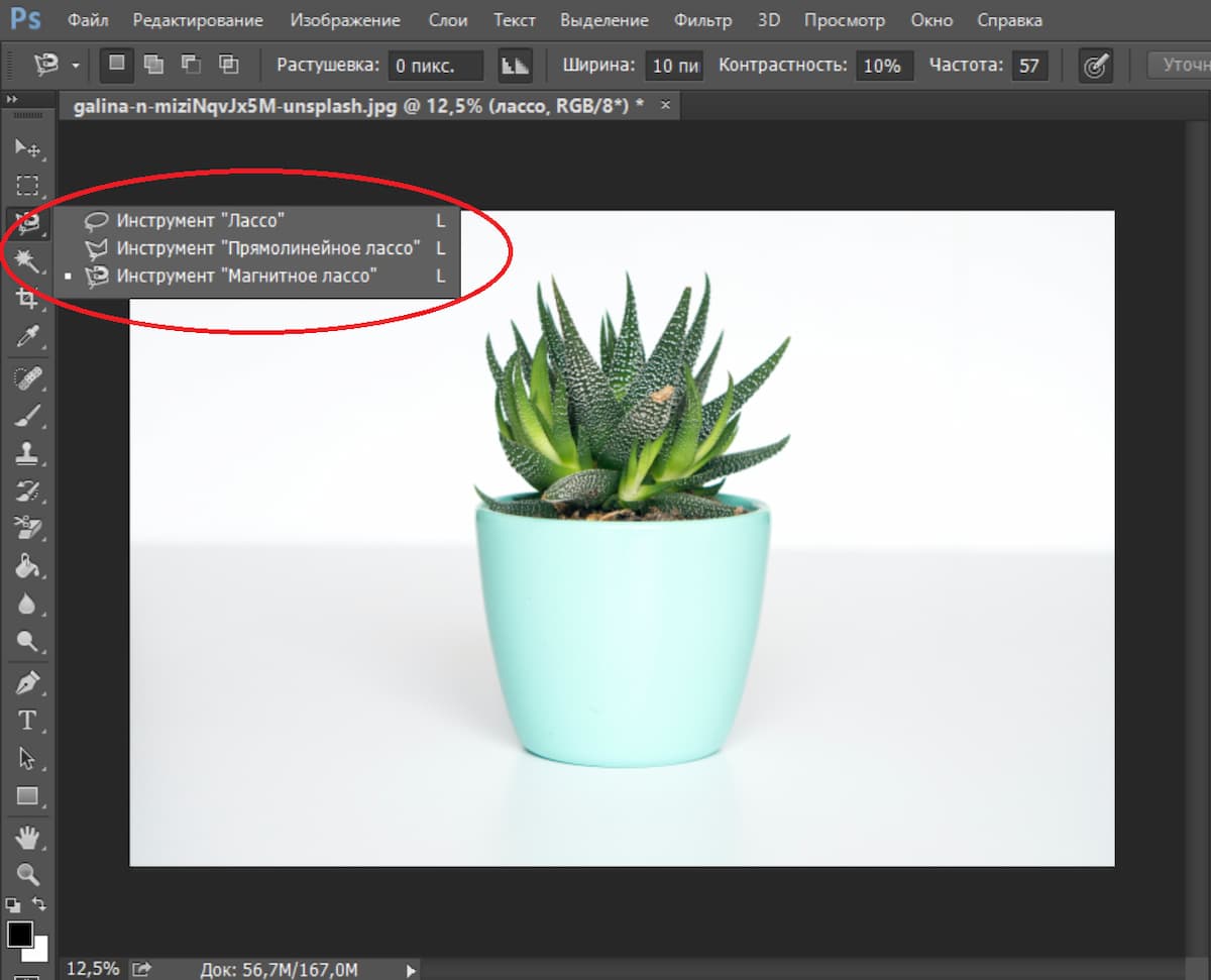 Инструментом «Лассо» удобно вырезать объект с любого фона