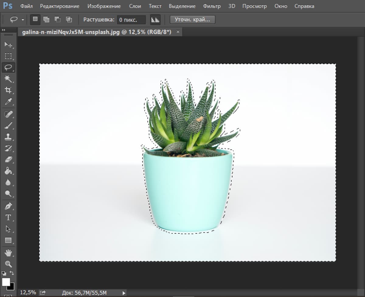 Теперь контур появился не только вокруг объекта, но и по краю фона — это значит, что он выделен