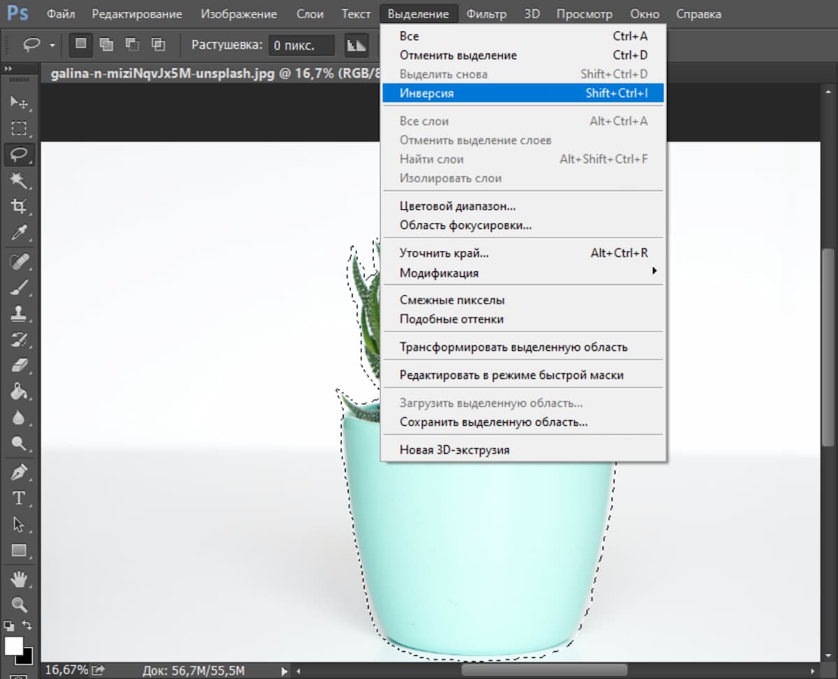 Затем нужно инвертировать выделение, чтобы выделялся фон, а не объект