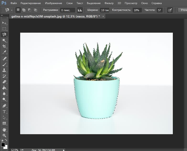 Продолжайте ставить точки по всему контуру объекта