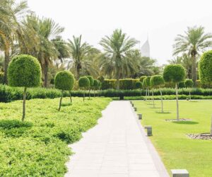 Stili v landshaftnom dizayne