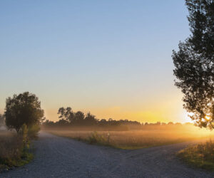 Kak vybrat onlayn kurs