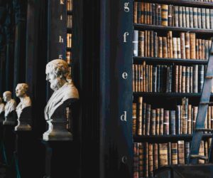 Professiya metodist obrazovatelnyh programm