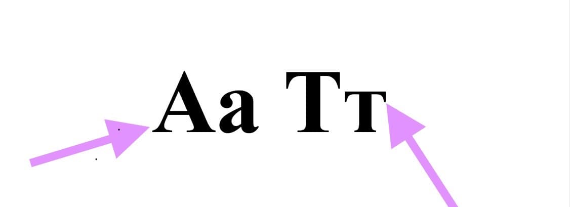 Пример засечек в шрифте Times New Roman