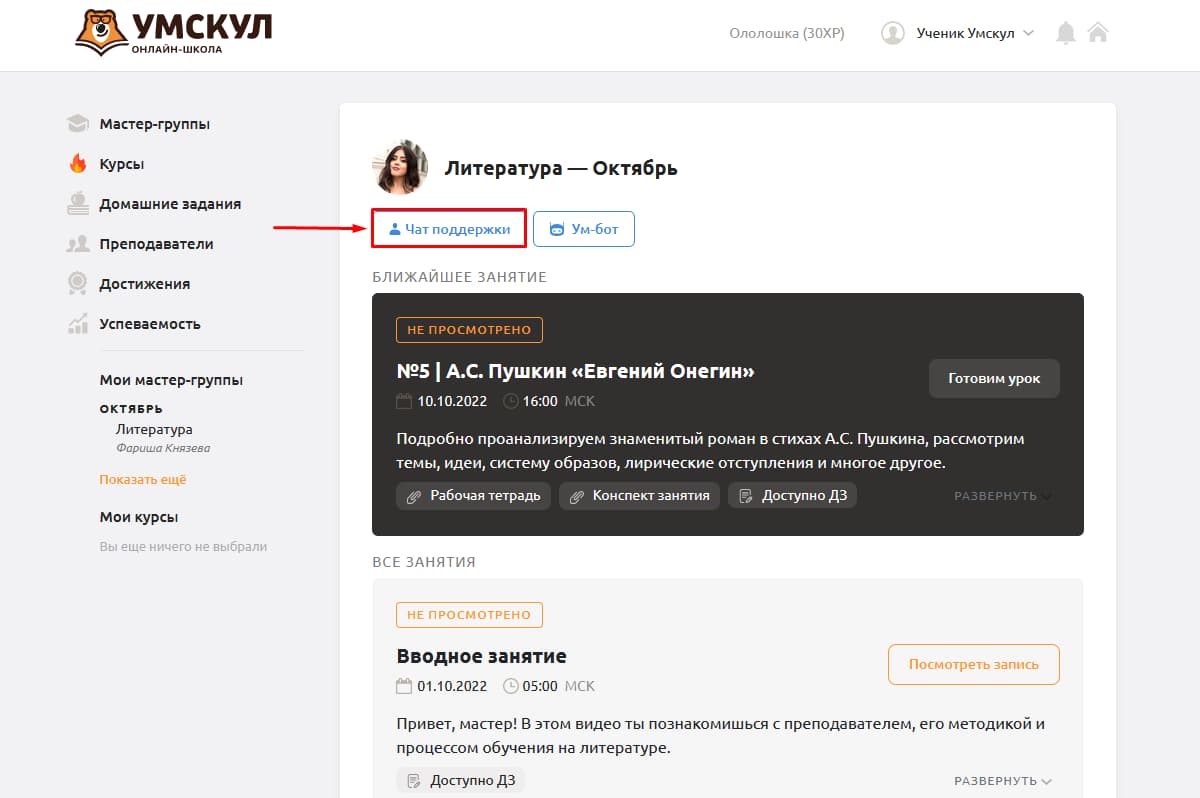 круглосуточный чат поддержки