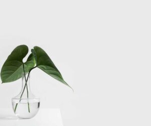 Slovar landshaftnogo dizaynera s rasshifrovkoy