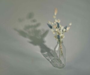 Top vostrebovannyh professiy