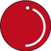 Логотип Digital Skills Academy