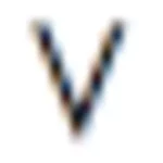 Логотип Verona Models