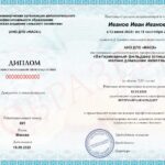 Комарова Ольга Марьяновна, Практикующий ветеринарный терапевт и ветеринарный дерматолог с опытом более 14 лет