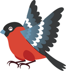 Практикующий ландшафтный архитектор, Ландшафтный архитектор