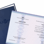 Аниса Сибгатуллина, Карьерный ментор