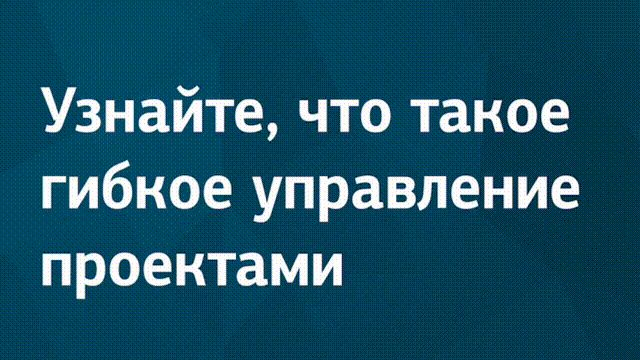 Дарья Зыкина, Основатель SaaS-платформы Codenrock.com