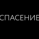 Денис Ковалевский, Продюсер в киностудии «Соль»