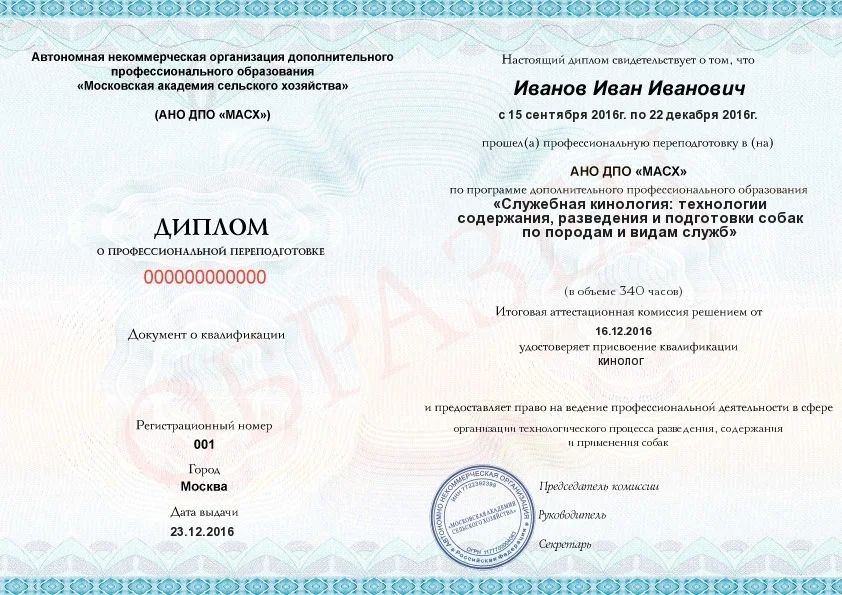 Гунова Анна Владимировна, Кинолог, заводчик собак