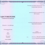 Илья Грубер, Ведущий продакт-менеджер в Avito