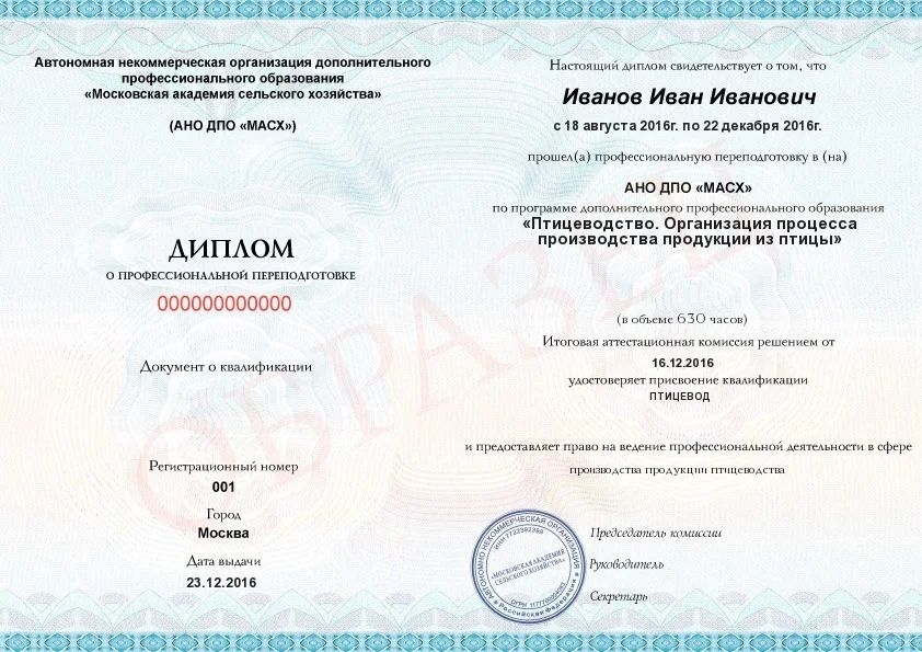 Конорева Елена Анатольевна, Главный зоотехник на птицефабрике