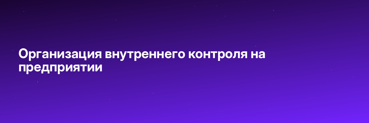 Организация внутреннего контроля на предприятии