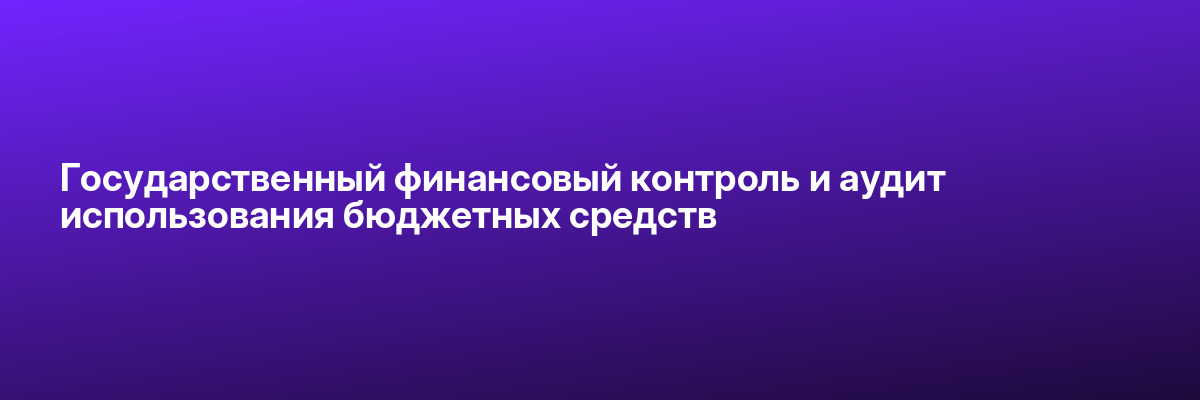 Государственный финансовый контроль и аудит использования бюджетных средств