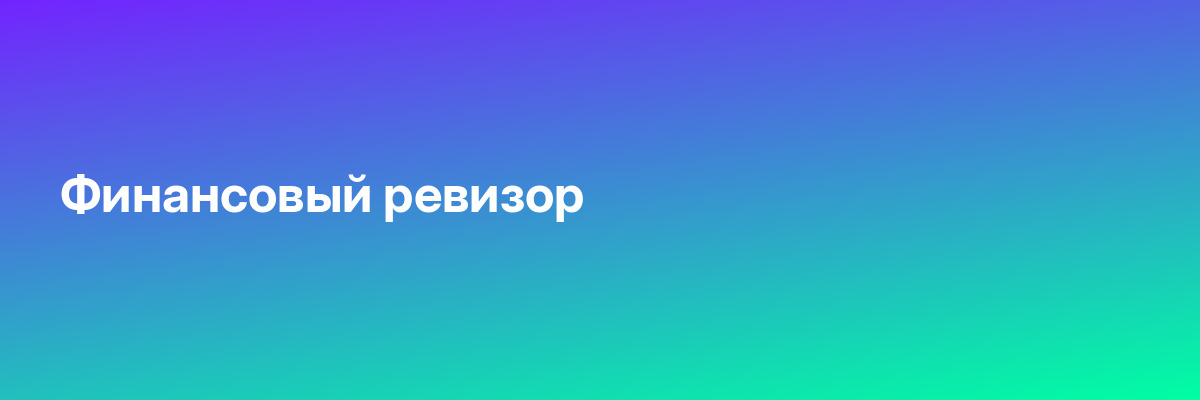 Финансовый ревизор