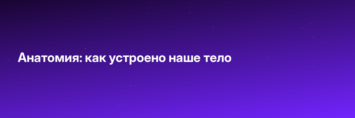 Анатомия: как устроено наше тело