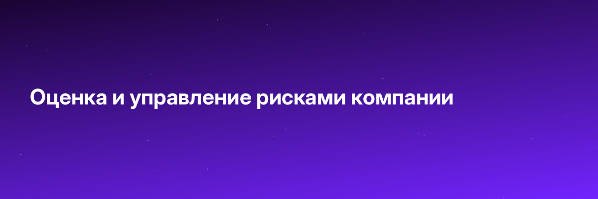 Оценка и управление рисками компании