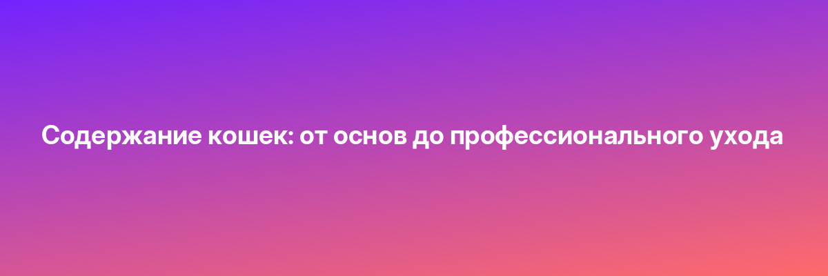 Содержание кошек: от основ до профессионального ухода