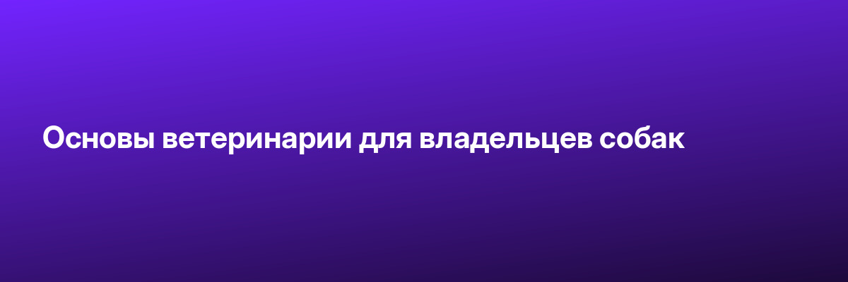 Основы ветеринарии для владельцев собак